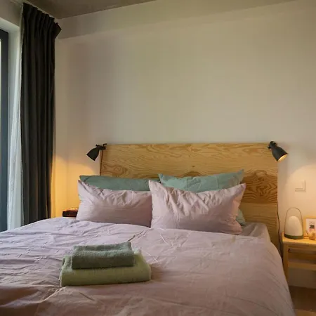 Ferien- Und Seminarhaus Flunder & Hering 度假居 希尔克道夫